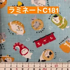 ラミネート　50センチ おでん　猫　水色