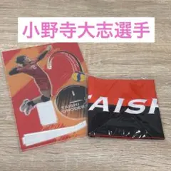 カプくじ 2023 バレーボール男子日本代表第2弾