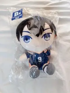 ハイキュー　影山飛雄　ぬいもっち