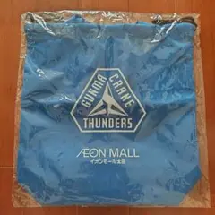 新品 群馬クレインサンダーズ イオンモール太田コラボ エコバッグ