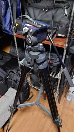 Item thumbnail for item 6988f9be-e99f-449b-ad08-4160c9ee121f