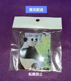 【新品】王子動物園「タンタン アクリルキーホルダー」たそがれタンタン