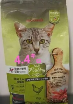 Item thumbnail for item be8d114e-ca7c-4a08-a849-16906166063a