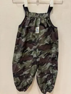 Item thumbnail for item 6c86001b-a645-46e8-9733-d806b2e43775