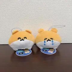 くまのまーくん&絶対に死なないハムスター マスコットぬいぐるみ 2種セット