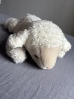 tyやぎ　ぬいぐるみ