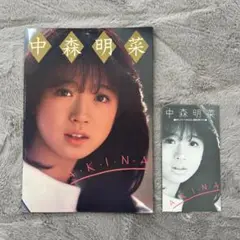 中森明菜 A.K.I.N.A 1983年 ミルキーウェイ 春の風を感じて