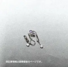 【8/8まで限定特価】テイクアップ　タンザナイトイヤリング