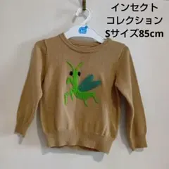 Item thumbnail for item ff88fa00-991c-401a-9354-ee0959fa07da