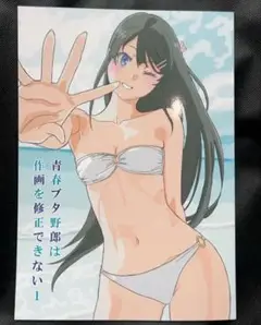 C106 コミケ106 青春ブタ野郎は作画を修正できない たむらみかん　青ブタ