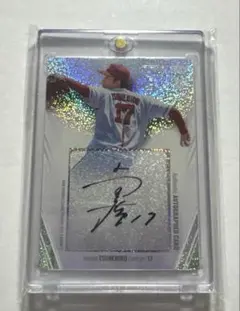 Item thumbnail for item b7f6d106-f971-4b8c-979b-71ac1218826f