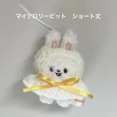 skzooぬい服マイクロ てるてるぼうず リービット