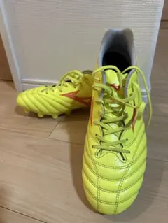 Mizuno モナルシーダ　イエロー　29.0