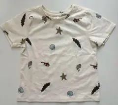 organic zoo Seaweed Classic T-shirt 2-3y