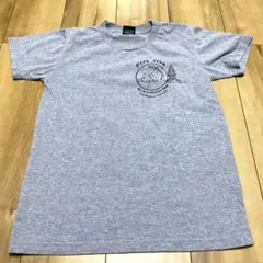 ★8/16まで★カンボジア　タンタン　Tシャツ
