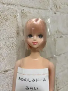 みらい　アイドール仙台　お楽しみドール　ジェニーフレンド 新品未使用　たまき いちごみるく みらい ジェニー フレンド おたのしみドール