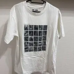 ユニクロ　UTGP フォトコラージュ Tシャツ ホワイト
