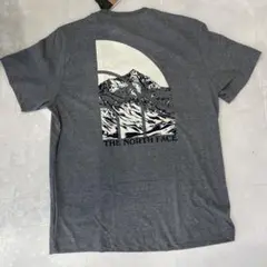 THE NORTH FACE ノースフェイスTシャツ US限定 USサイズL