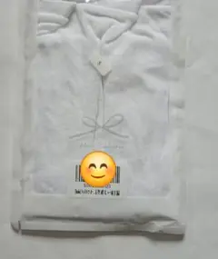 Item thumbnail for item 304d2472-1f65-4207-9d82-89b13c980e9a