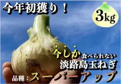 ☆新春初売りセール☆産地直送!淡路島”新”玉ねぎ【秀品3kg】送料無料 野菜