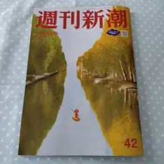 Item thumbnail for item 10461343-a267-473f-8fa5-5e7f34e7c7bc