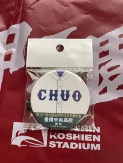【新品未使用】甲子園　豊橋中央高校 缶バッジ 第107回全国高校野球