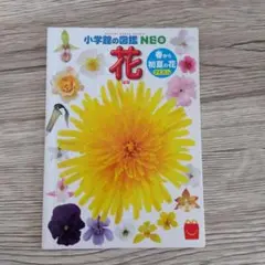 【開封済み】マクドナルド／ハッピーセット／小学館の図鑑NEO／花