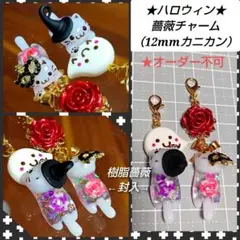 Item thumbnail for item 80e19491-c706-4ce7-bbca-e24e8acac17c