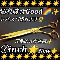 Item thumbnail for item c1aee4ba-b612-4260-9f97-5745643fbe83