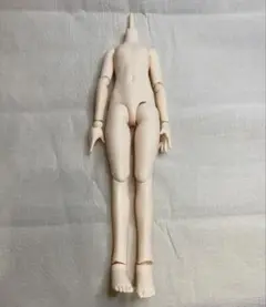本体のみ