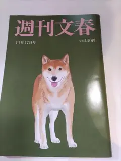 週刊文春　安斉星来　岸田　キンプリ　認知症　2022年11月17日号
