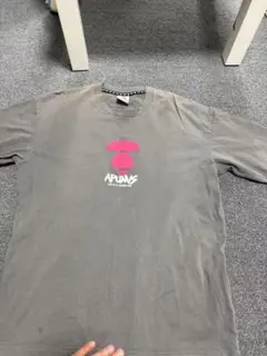 Aape グレー Tシャツ Lサイズ 中古 美品