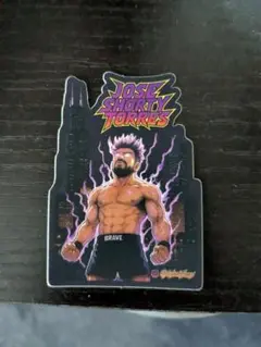 JOSE SHOKRY TORRES ステッカー／シール