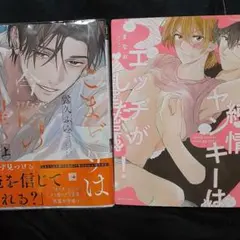 商業 BL 新刊 含 組み換え可能 こまどりは今際の目醒め上