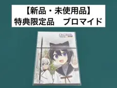 【激レア】　のけもののまち　はちべもつ　ブロマイド　特典限定品　百合　漫画　美品