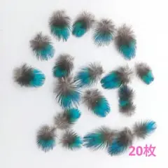 孔雀の羽根　ミニ羽根(楓型)　20枚