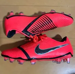 Item thumbnail for item 95d4c250-e82f-4661-8360-115f04f14a0e