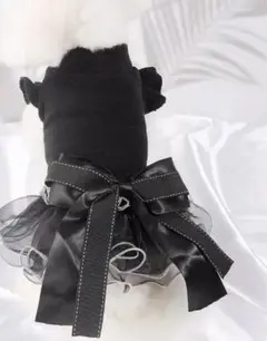 Item thumbnail for item 1e97a350-1274-4257-9ed0-bccb4fd7eaf7