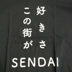 藤崎デパート「好きさ、この街が」TシャツMサイズ