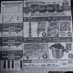最新号 ヤングチャンピオン18号 抽プレ 日向坂46 松田好花 応募用紙3枚