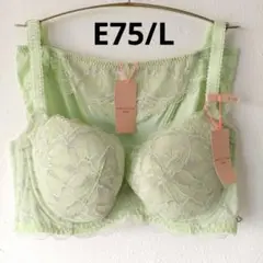 E75/L　グリーン　チャーミングラマー ダズリングサマー　トリンプ