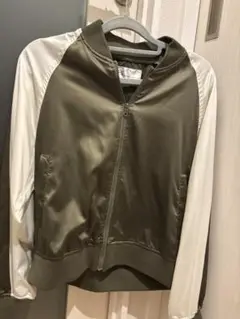 Item thumbnail for item 92b520df-bfd1-4faa-9133-38d513594631