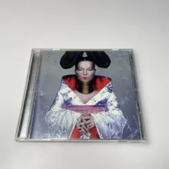 bjork homogenic ビョーク ホモジェニック　　②