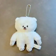 顔がギュッとしたくまのぬいぐるみ ガチャガチャ ホッキョクグマ