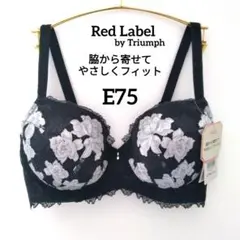 Item thumbnail for item f21e8efd-d32c-4ac7-83c2-03420516f378