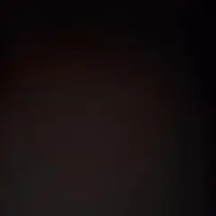 品物P