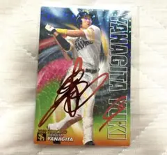 プロ野球チップス 柳田悠岐 赤箔サイン スターカード