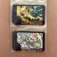 ポケモン フレンダ ルカリオ サーナイト