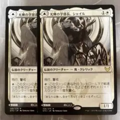 MTG 光輝の学部長、シャイル 2枚セット
