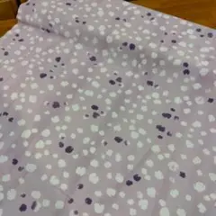 Item thumbnail for item 9d9a4c5d-fd8a-43a3-9058-84633cd9e603